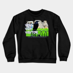 Veni Vidi Visitor - I came, I saw, I perched and sat and nothing more Crewneck Sweatshirt